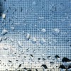Winstar Discusses Nature-Inspired Energy Efficiency